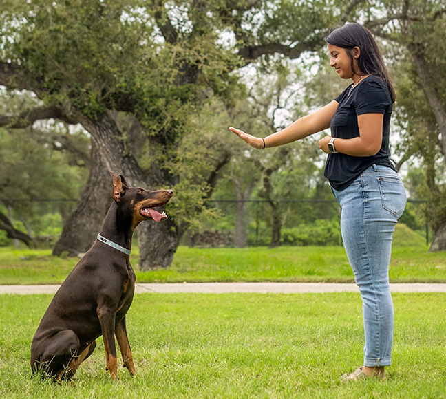 Off Leash Stay