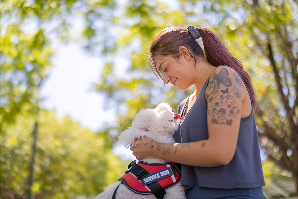 service dog